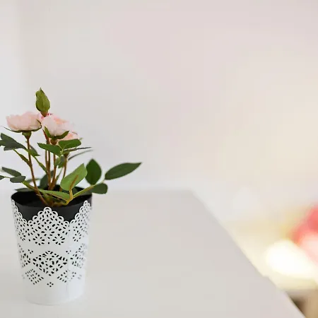 Well Kept With Terrace *