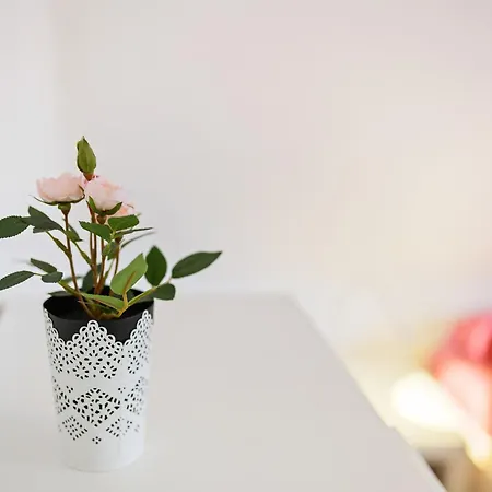 Bergfreiheit Винтерберг