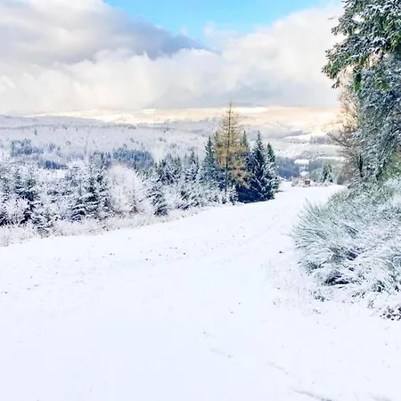Bergfreiheit Winterberg
