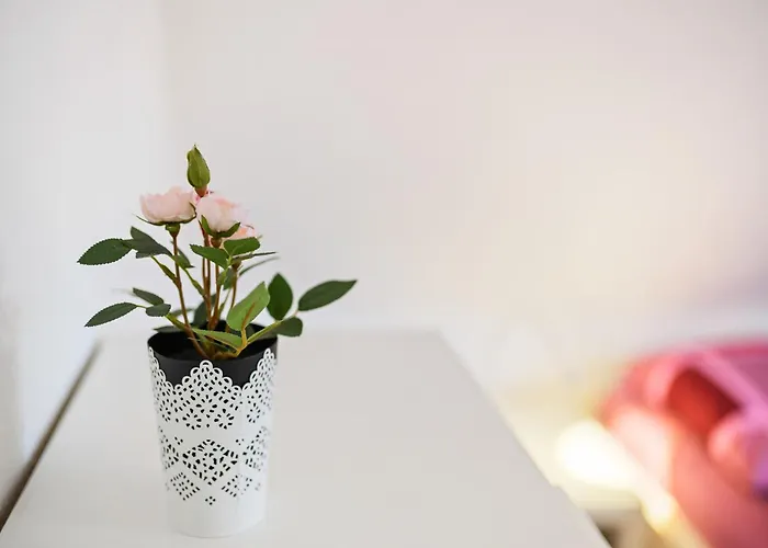 Bergfreiheit ヴィンターベルク