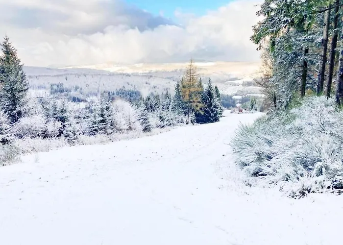 Bergfreiheit Winterberg